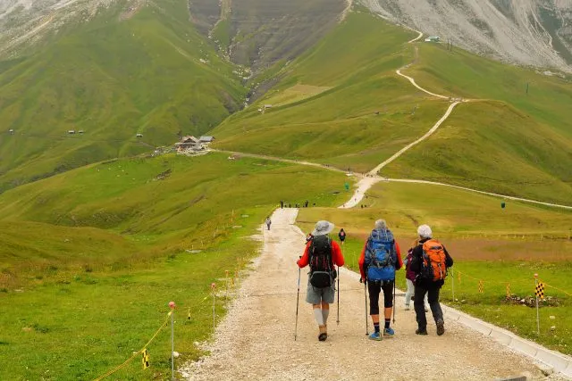 Profesjonalne buty trekkingowe - co je wyróżnia?